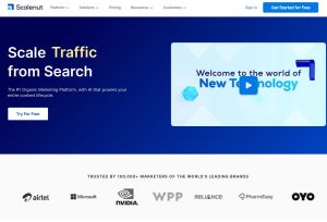 Mengoptimalkan Pencarian Google dengan Scalenut
