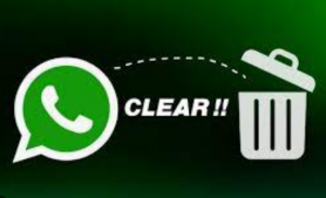 Menghapus Cache WhatsApp