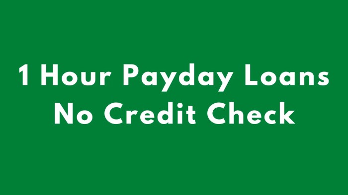 Payday loans online with no credit check