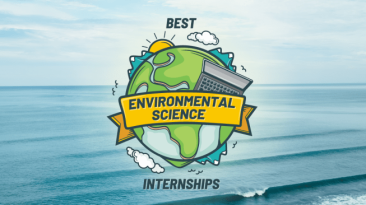 Environmental internships