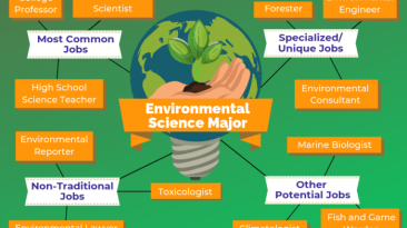 Environmental health jobs in government