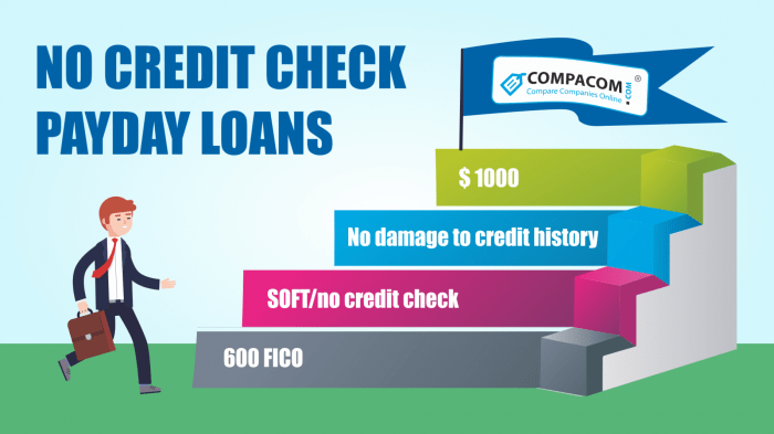Payday loans online with no credit check