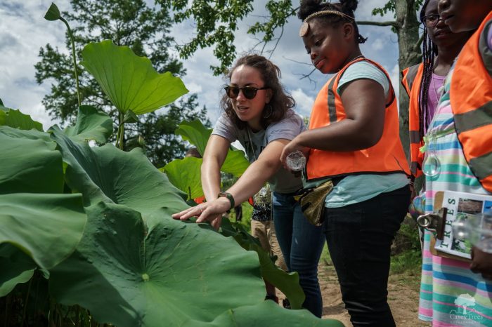 Environmental 8hrs institutional