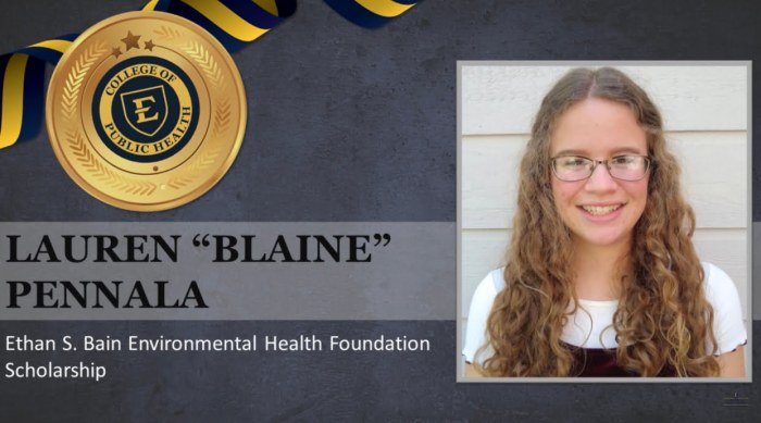 Environmental health scholarships