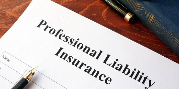Liability insurance coverage cloudfront embroker damages Government professional liability insurance