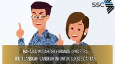 Cek Formasi CPNS 2024