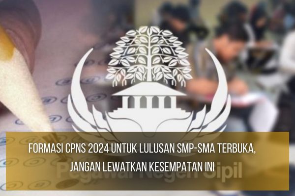 Formasi CPNS 2024
