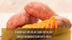 Manfaat Ubi Jalar